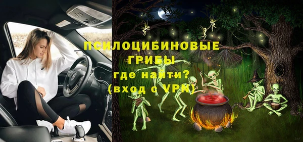 винт Белокуриха