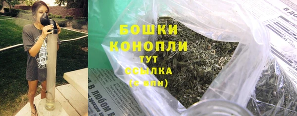 винт Белокуриха