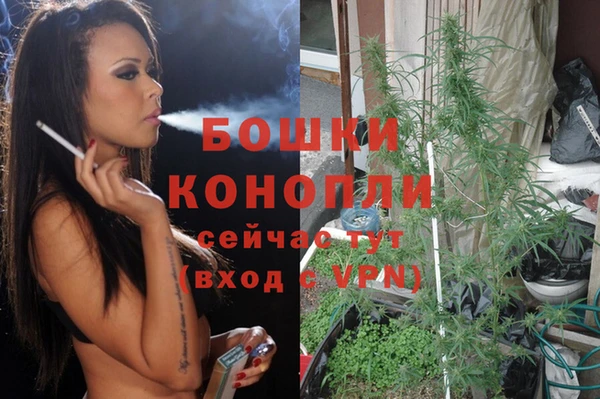 дживик Беломорск
