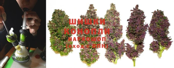 винт Белокуриха